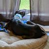 jacquemckee - @jacquemckee - TikTok