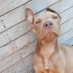 Jacques Mckenzie - @jacquesmckenzie53 - Instagram