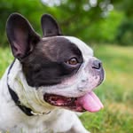 Jacques Mercier - @jacquesm43 - Instagram