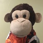 Jacques - @monkeyjacques - Instagram