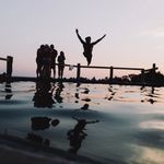 Jacques 🌎 - @jacquesmonkey - Instagram