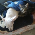 Jacques Mora - Facebook