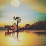 Jacques Morris - @jacquesmorris8964 - Instagram