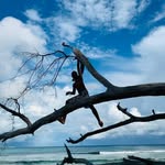 Nelson Jacques - @nelson__jacques - Instagram