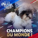 Jacques Noblecourt - @jacquesnoblecourt - Instagram