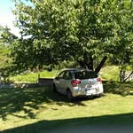 Jacques Parent - @jacques.parent.395 - Instagram