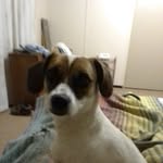Jacques Parker - @jacquesparker48 - Instagram