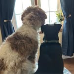 Leslie Jacques Perrault - @leslie_perrault - Instagram