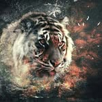 jacques Peters - @petersjacques - Instagram