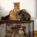 Jacques Picoux - Facebook