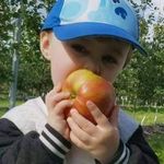 Jacques Poirier - @jacpoi556 - Instagram