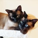 Jacques & Porter - @jacquesandporter - Instagram