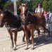 Jacques Porter - Facebook