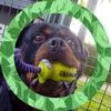 Jacques Potier - @jacques.potier - TikTok
