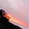 Jacques Pretorius - @jacques.pretorius61 - TikTok