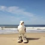 Jacques Rivera - @rivera31340 - Instagram