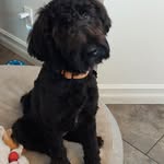 Jacques Rodgers - @jacques_rodgers_ - Instagram