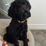Jacques Rodgers - Facebook