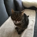 Jacques Romanens - @jacquesromanens - Instagram