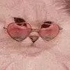 jacques romano - @jacques.romano04 - TikTok