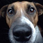 Holger Jacques Russell - @holgerjacquesrussell - Instagram