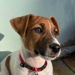 @jacquestherussell - Instagram