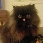 Jacques Sawyer - @jacquen.off - Instagram
