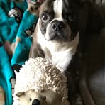 Jacque Schaefer - Facebook