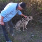 Jacques Schneider - @jacques0807 - Instagram