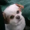 jacqueschultz6 - @jacqueschultz6 - TikTok