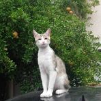 Jacques Serrano - Facebook