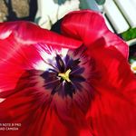 Jacques simon - @jacquessimon76 - Instagram