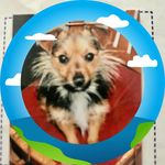 Jacques Simon - @jacquessimon1196 - Instagram