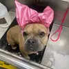 jacqueswhite7 - @lil.jim.bob7615 - TikTok
