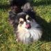 Jaques Wieme - Facebook