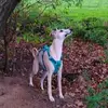 Jacqui Anderson - @jacqui.anderson - TikTok
