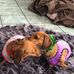 Jacqui Brady - Facebook