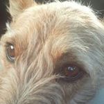 Jacqui Bray - @brayjacqui - Instagram