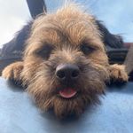 Jacqui Bridges - @jacquibridges1 - Instagram