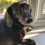 Jacqui Bryant - @jacqui.bryant.37 - Instagram
