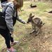 Jacqui Bryant - Facebook