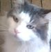 Jacqui Bryant - Facebook