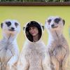 Jacqui Campbell342 - @jvcquicvmpbell - TikTok