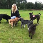 Jacqui Campbell - @j.campbell65 - Instagram