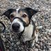 Jacqui Carpenter - Facebook