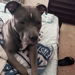 Jacqui Carter - @mscarter420 - Instagram