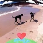 Jacqui Carter - @jacquilts2 - Instagram