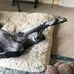 Jacqui Carter - Facebook
