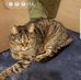 Jacqui Cook - Facebook