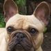 Jacqui Cook - Facebook